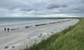 Two people stand before a long line of stranded whales on a deserted beach under a grey and cloudy sky