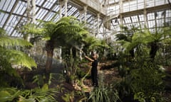 Plants being watered by a horticulturist at London’s Kew Gardens