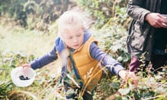 Girl picking blackberries