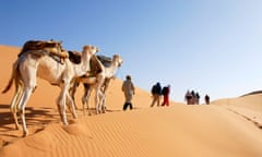A89GHT Camel trekking through the desert Mandara Libya