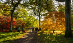 Visitors enjoying autumnal Acer Maple trees at the National Arboretum, Westonbirt, Gloucestershire, United Kingdom<br>G30MFF Visitors enjoying autumnal Acer Maple trees at the National Arboretum, Westonbirt, Gloucestershire, United Kingdom