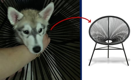 Firefighters free husky puppy's head from a chair – video