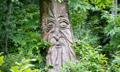 A face carved into tree on the Art Trail  in Thornden Woods/West Blean Nature Reserve