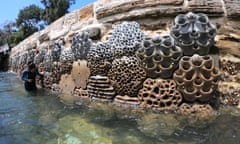 An intertidal habitat for marine life constructed by the Australian company Living Seawalls.