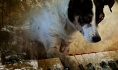 Heart of a Dog dogwoof documentary