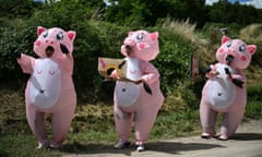 Inflatable pigs watch from the roadside during the Tour de France