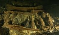 Champagne bottles on the ship which sank in the Baltic sea about 170 years ago