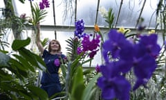 Launch Of The Kew Gardens Orchid Festival<br>LONDON, ENGLAND - FEBRUARY 04:  A grounds keeper completes the finishing touches to the Tillandsia glowing hanging droplets which is part of the Kew Gardens Orchid Festival at Kew Gardens on February 4, 2016 in London, England.  The festival runs from February 6 to March 6, and features an array of over 8,996 plants and 3,294 orchids creating a Brazilian wilderness in Kew Garden's Princess of Wales Conservatory.  (Photo by Ben Pruchnie/Getty Images)