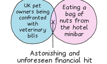 UK pet owners being confronted with veterinary bills/Eating a bag of nuts from the hotel minibar | Astonishing and unforeseen financial hit