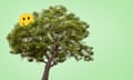 Montage of a tree with a yellow smiley face in it, against a green background