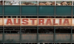 Export cattle are loaded onto trucks at the Noonamah stockyards on the outskirts of Darwin in 2011