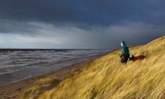 Dog walker on the beach