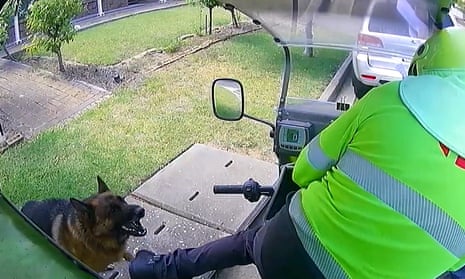 Australia Post releases video of dogs attacking posties - video