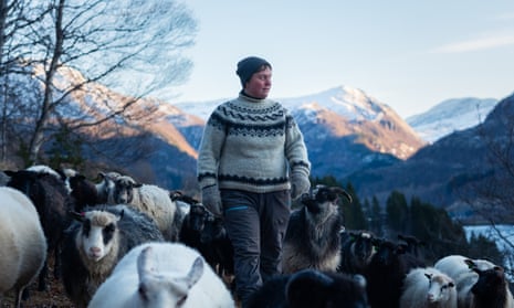 Rowdy Flock: a daughter, her dreams, and a sheep farm in Norway