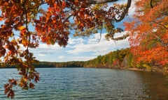 Walden Pond