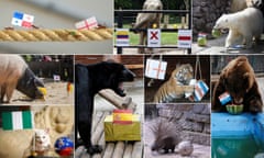 Various animals attempt to predict the results of 2018 World Cup matches.