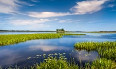 Wetlands at the wildlife reserve at Oset, Örebro.