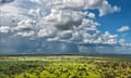 Aerial photo of tiang, a species of antelope, in Boma and Badingilo national parks, South Sudan