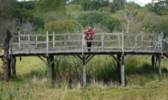 Winne the Pooh bridge