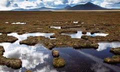 A landscape image of the blanket bog with sections of water underneath