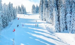 piste and snowy pines at Kapaonik