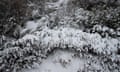 A fresh blanket of snow at Guthega buries plants and trees during a blizzard in the NSW Snowy Mountains