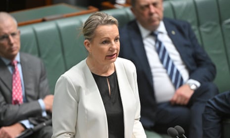 Sussan Ley reads the names of the 60 women killed in Australia this year – video