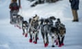 Richie Diehl arrives in Ruby, Alaska, Friday morning, March 13, 2020, during the Iditarod Trail Sled Dog Race.