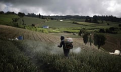 Farmers spray onion crops in  Cartago province in Costa Rica