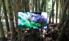 A still from Zheng Bo’s video art piece Pteridophilia at Orto Botanico.