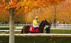 Young Rascal walks out to race this week at Kempton, where he won a Listed race. The course remains under threat of development.