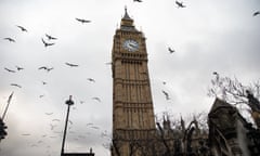 Birds fly past Big Ben in London, England