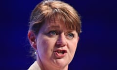 Plaid Cymru leader Leanne Wood