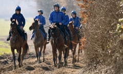 Horses from the Colin Tizzard yard make their way back from the gallops on Monday.