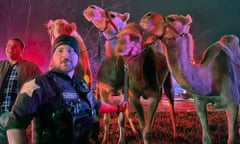 Lit at night in pink, likely from red police car lights, a young white police officer wearing a black knit cap and uniform holds a leash of connecting three camels, alongside another white man who is laughing.