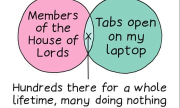 Members of the House of Lords/Tabs open on my laptop - Hundreds there for a whole lifetime, many doing nothing