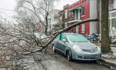 A fallen tree on a car on an icy residential street