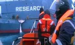 Activist group Sea Shepherd have released graphic video footage of Japanese fishermen harpooning whales in the Southern Ocean after a long battle with the Australian government to make the images public