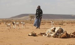 Drought in Somaliland.