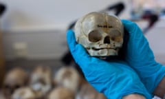 Dissected foetal skull dating from the 1800s, originally held in the University of Cambridge Anatomy Museum.