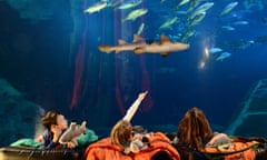 Images of children at Plymouth's National Marine Aquarium as part of a mock "sleeping with the sharks" evening.