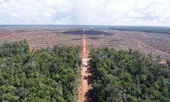 Aerial photo that shows the boundary between intact forests with already cleared for palm oil in Papua