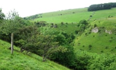 A view above Coombs Dale.