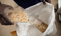 Workers fill sacks of corn at a warehouse in Kampala, Uganda.