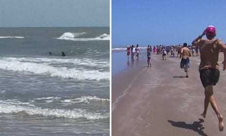 Shark bites two swimmers near Texas beach – video 