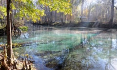 Cool pool … mist rising in the morning off Ginnie Springs, Florida.