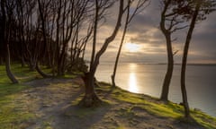 The south shore of Brownsea Island, Dorset