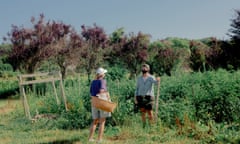 Director of Quail Hill Farm, Layton Guenther, helping a member in the potato field, in Amagansett, New York on July 18th, 2020. Photo by Steven Molina Contreras for The Guardian.,