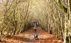 NOV - 2022 - Dunstable : PUB WALK; Start Shoreham railway station , End Samuel Palmer pub in Shoreham. ( Photography by Graeme Robertson)