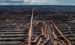 Forest clearance in Indonesia.